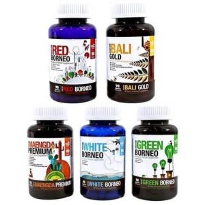 Bumblebee Capsules 500ct Green Borneo