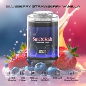Smookah 2 in 1 Disposable Hookah 100k Puff Blueberry Strawberry