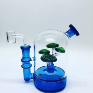 6" Inch Bonsai Rig Water Pipe