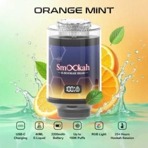 Smookah 2 in 1 Disposable Hookah 100k Puff Orange Mint