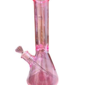 9in Beaker W/ Ice Catcher Colored