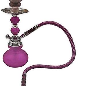 Zebra X1 Hose Hookah Neon