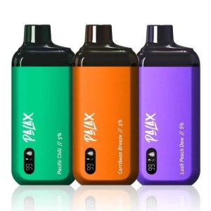 Palax 8000 Puff Disposable 5pk Melon Mint