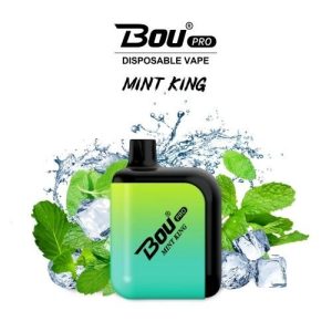 Bou Pro 7000 Puff Disposable Vape Mint King