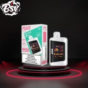 Raz LTX 25k Disposable 5pk Miami Mint