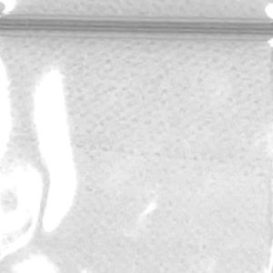 Zip Bags 175175 10/100PK 1000ct/BG Clear