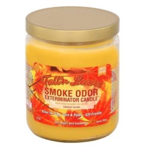 Smoke Odor Candle Fall'n Leaves 13OZ