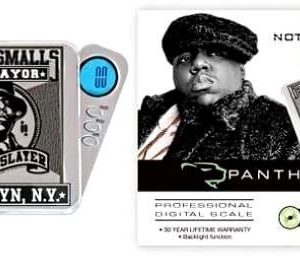 Infyniti Big Panther 1000g X 0.1g Scale