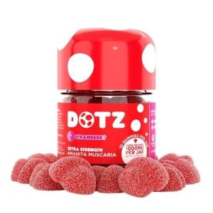 DOTZ Gummies 1000MG/Jar Strawberry