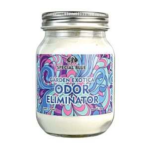 Special Blue Candle OG Kush