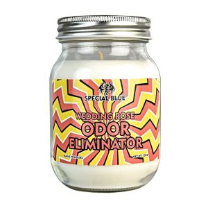 Special Blue Candle Wedding Rose