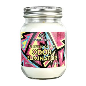 Special Blue Candle Berry Pie