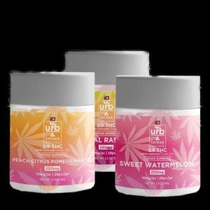 URB D9 Vegan Gummies Jar 250MG 10mg Per Gummy Tropical Raspberry