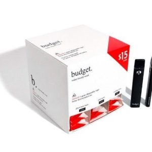 Budget 30 Piece Disposable Display D8 Mix Flavors