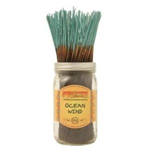 Wild Berry Traditional Sticks Ocean Wind